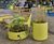 March Planter - mild steel cylindrical outdoor planter 4