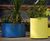 March Planter - mild steel cylindrical outdoor planter 8