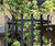 Poplar Mild Steel Tree Guard - mild steel tree guard for urban trees 1