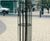 Poplar Mild Steel Tree Guard - mild steel tree guard for urban trees 2