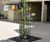 Poplar Mild Steel Tree Guard - mild steel tree guard for urban trees 3