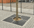 Riviere Square Hole Tree Grille - cast iron tree guard 0