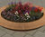Seated Planter 5
