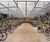 Wardale Grand Two Tier Cycle Shelter 7