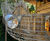 Woodland adventure play - Savill Garden, Windsor Great Park 8