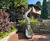 Woodland adventure play - Savill Garden, Windsor Great Park 3