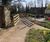Replacement timber footbridge - Woodbridge, Ripon 4