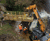 Replacement timber footbridge - Woodbridge, Ripon 5