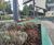 Planters with controlled drainage for Middlesex University 3