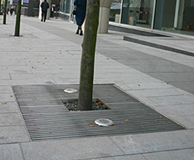 Test of time: ASF3000 Spinningfields Stainless Steel Tree Grilles