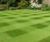 Designer Prizelawn grass seed mix for lawns and landscapes 0