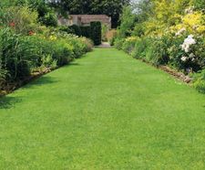 Designer Suburban multi-purpose grass seed mixture