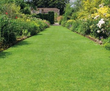 Designer Suburban multi-purpose grass seed mixture
