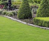 Designer Estate grass seed mix for high wear areas and landscapes - on this page