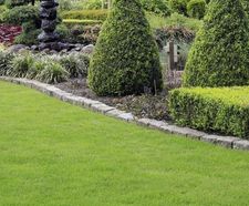 Designer Estate grass seed mix for high wear areas and landscapes