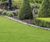 Designer Estate grass seed mix for high wear areas and landscapes 0