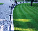 Designer Utility grass seed mix for landscaping and quality lawns - on this page