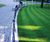 Designer Utility grass seed mix for landscaping and quality lawns 0