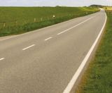 Designer DOT grass seed mixture for road verges - on this page