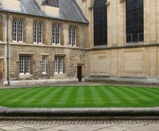 Designer Formal grass seed mix for quality lawns and landscapes
