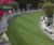 Designer Greensward grass seed mixture 0
