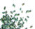 Edge Hydromulch 1