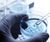 Hyprolyser compliant under GB Biocidal Product Regulations 0