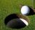 J Ultrafine Rye Green grass seed mix for golf and bowling greens 0