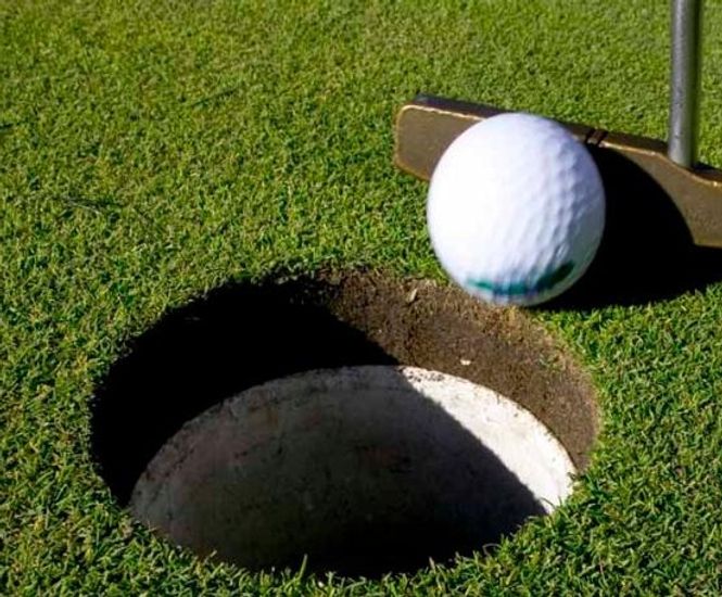 J Ultrafine Rye Green grass seed mix for golf and bowling greens