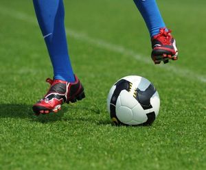 PM 81 Premier Renovation grass seed mix for winter sports pitches
