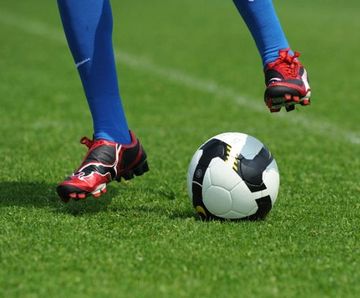 PM 81 Premier Renovation grass seed mix for winter sports pitches