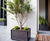 Bespoke steel tree planters 3