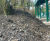 Hydroseeding stabilises steep rail embankment 1