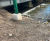 Hydroseeding stabilises steep rail embankment 2