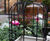 Bespoke steel planters, The Beau Brummell pub, St James, London 3