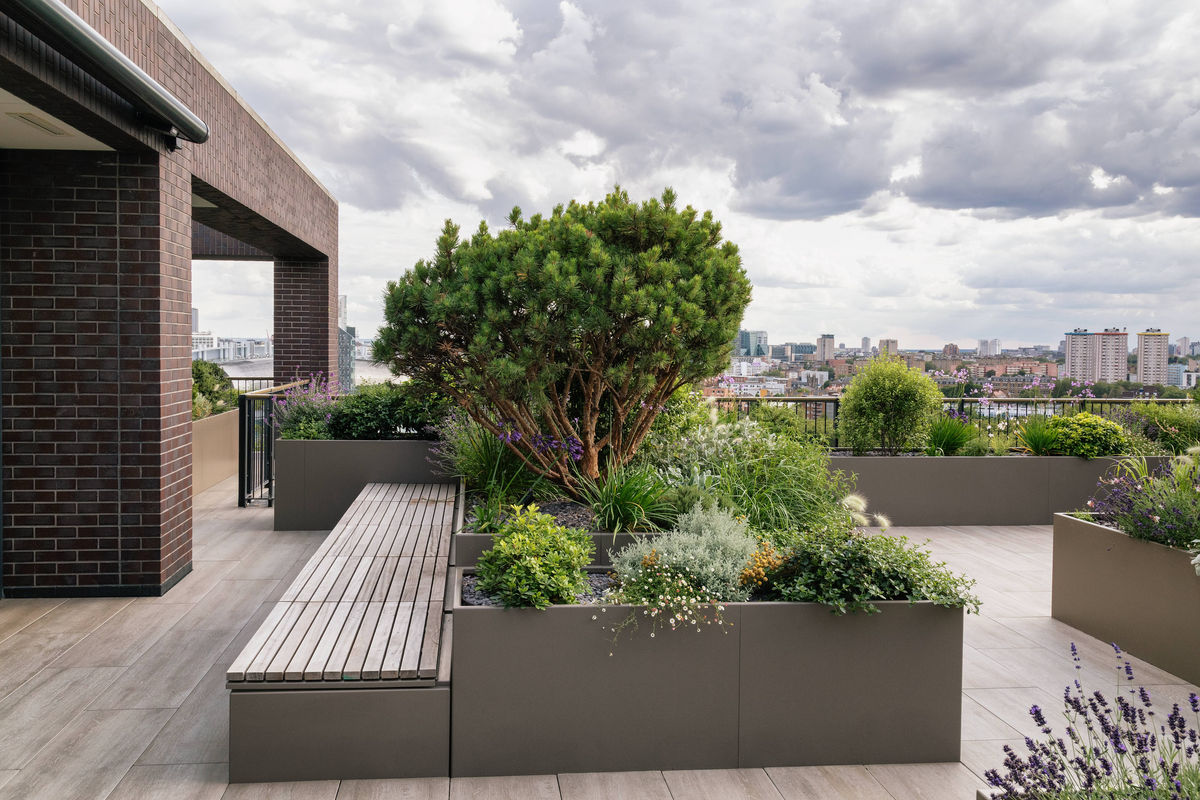 Images for Fire rated roof terrace, Plimsoll Building