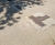 ASF RLBC Scorpion MK1 T Bar Folding Bollard / Barrier 5