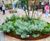 Bespoke planters, seating, cycle stands and bollards - Altrincham 5
