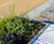 Bespoke planters and seating help revitalise train station 5