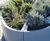 Bespoke planters and seating help revitalise train station 8