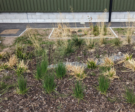 Rainwater bio-retention planters for new waste transfer station