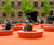Loop Circle polyethylene bench 0