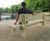 Stark Softwood Timber Bench 0