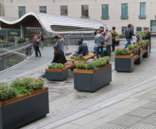 Integrated seating & planters enhance shopping centre
