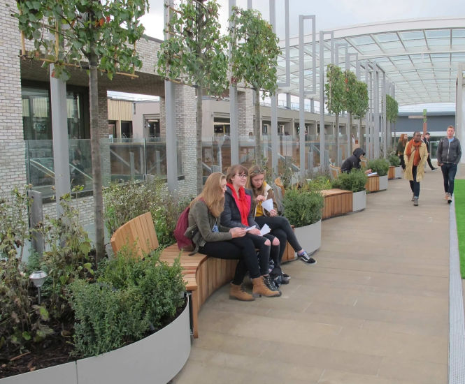 Bespoke seating and planters - Westgate, Oxford