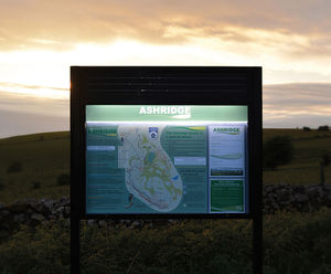 Bespoke solar-illuminated signage