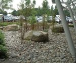 Cobblestones