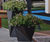 Five Planter By LAB23 1