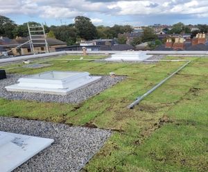 RoofBloxx attenuation system used for blue green roof - Dublin
