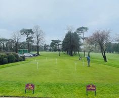 J All Bent grass seed mix for greens at Vicars Cross Golf Club